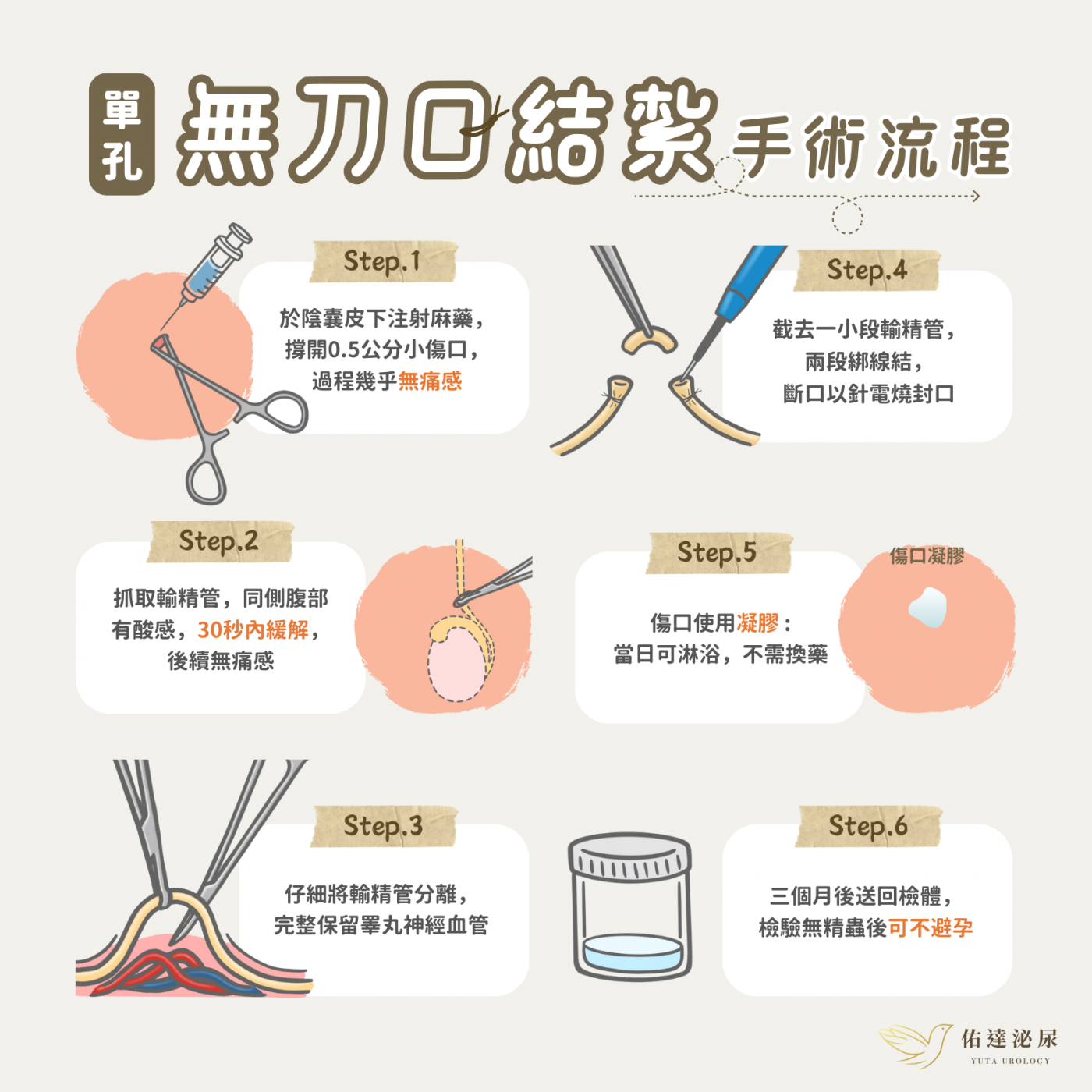 佑達泌尿科診所 單孔無刀口結紮手術步驟圖